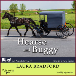 Hearse and Buggy Audiobook